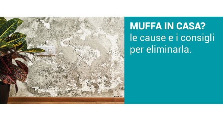 MUFFA IN CASA? Le cause e i consigli per eliminarla
